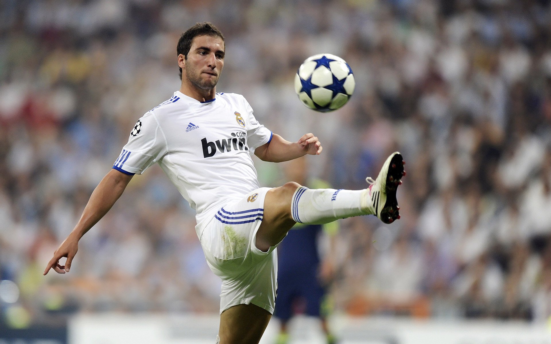 “挑战极限!SHO-CHAN Run 2025迎接全球跑者”