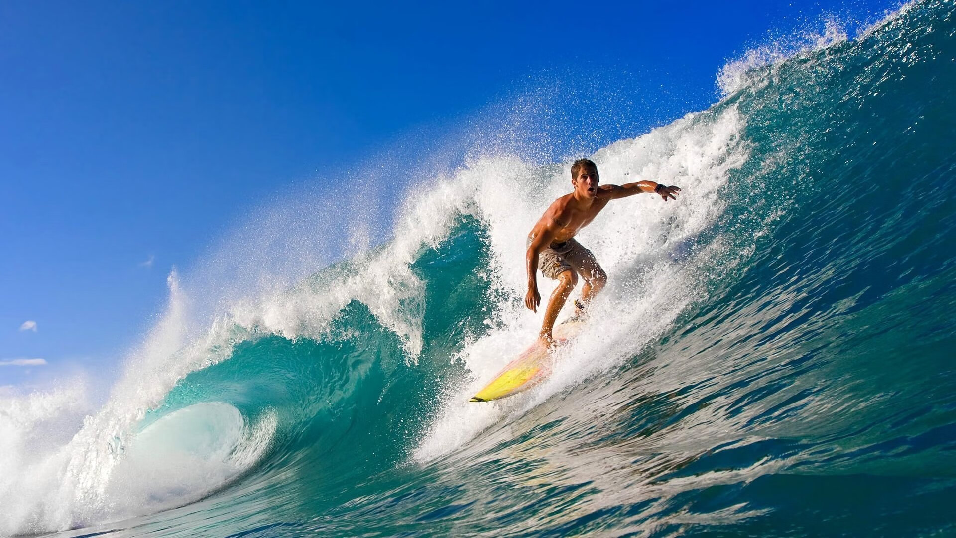 新闻中心发布全国群众健身活动月启动通知，关于开展全民健身活动的通知